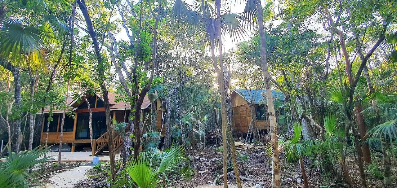 Energy Tulum Adult Lux Villas