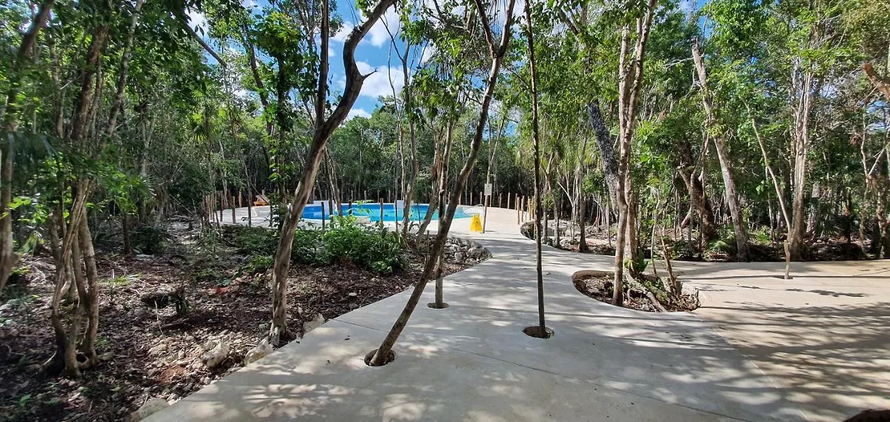 Energy Tulum Adult Lux Villas