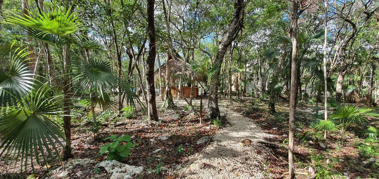 Energy Tulum Adult Lux Villas 0*,  Mexico