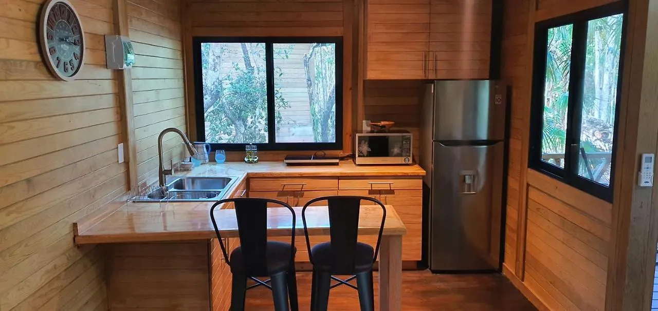 Energy Tulum Adult Lux Villas
