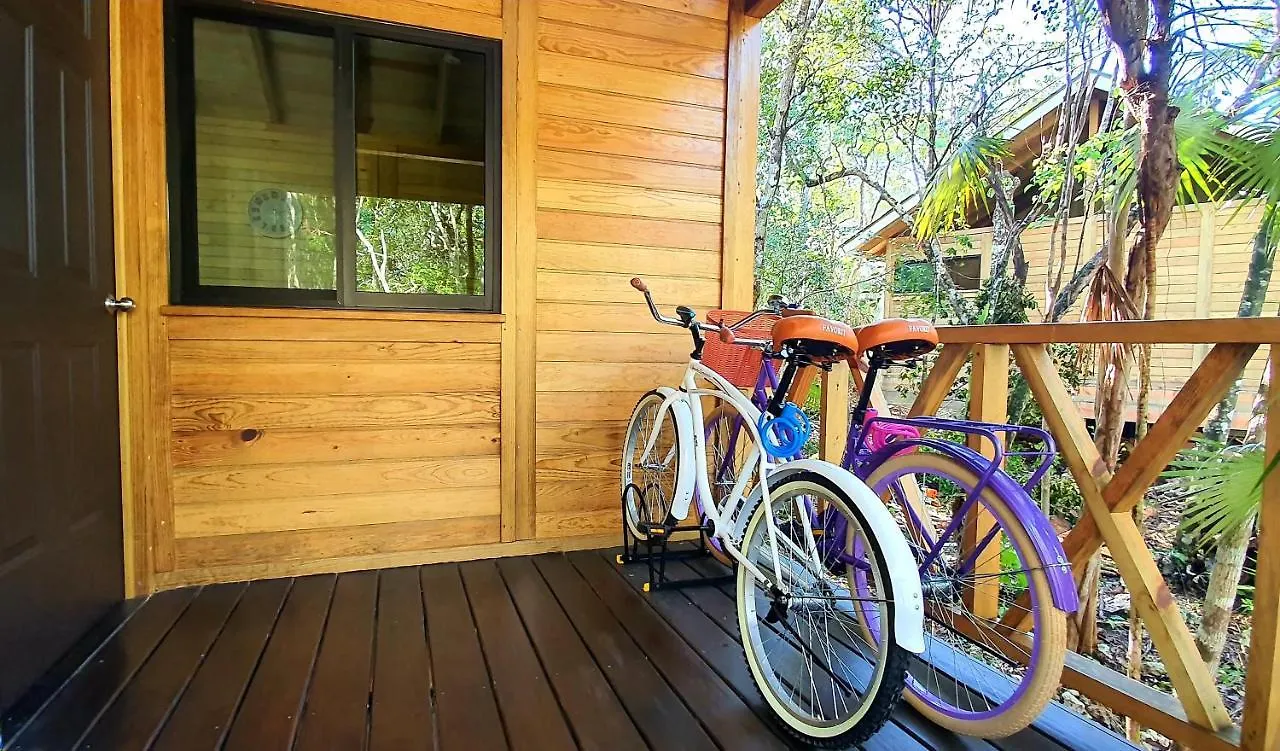 Energy Tulum Adult Lux Villas