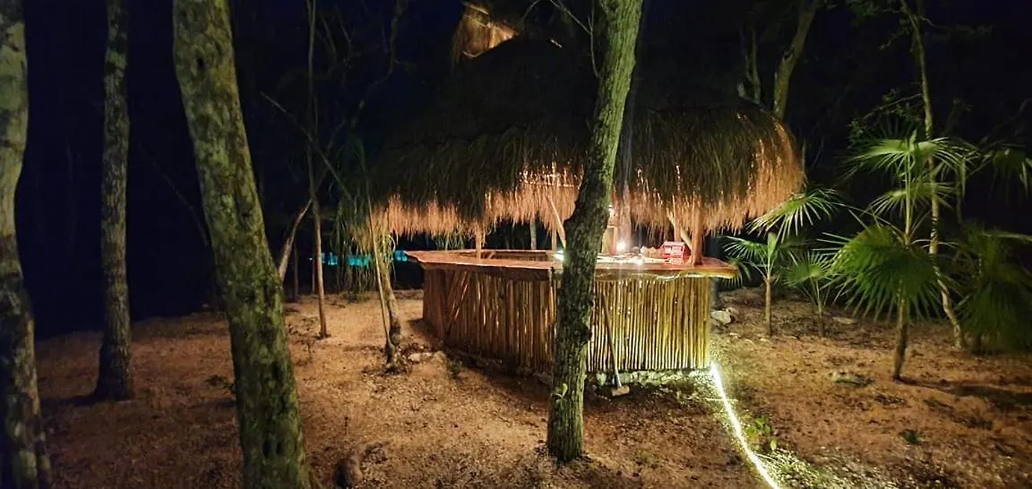 Energy Tulum Adult Lux Villas Mexico