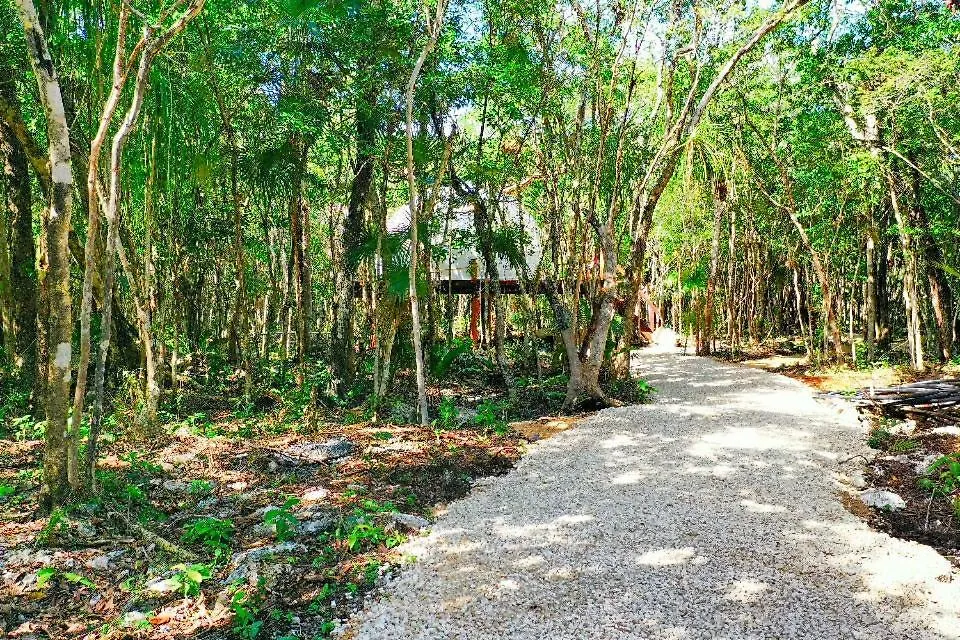 Energy Tulum Adult Lux Villas 0*,  Mexico