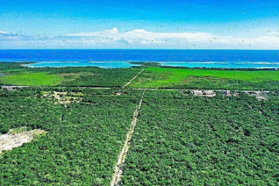 Energy Tulum Adult Lux Villas