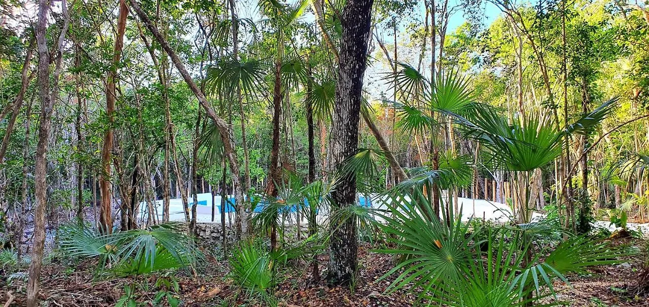 Energy Tulum Adult Lux Villas