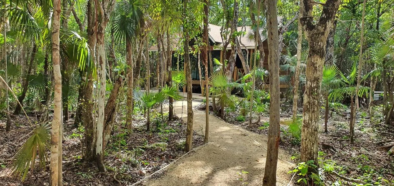 Energy Tulum Adult Lux Villas Mexiko