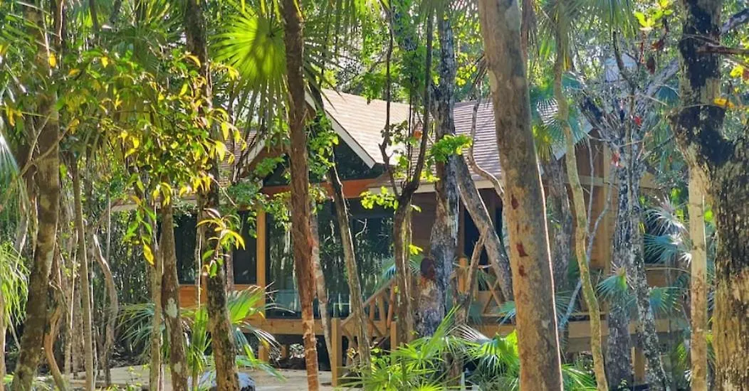 Energy Tulum Adult Lux Villas Mexiko